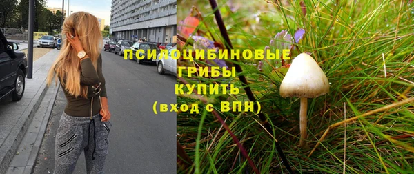 ешки Нязепетровск