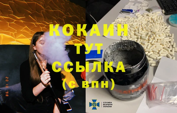шишки Абинск