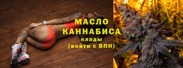 спайс Няндома