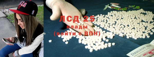 спайс Няндома