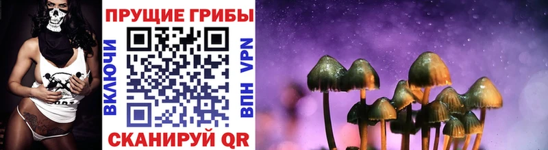Псилоцибиновые грибы Magic Shrooms  где можно купить   Сурск 